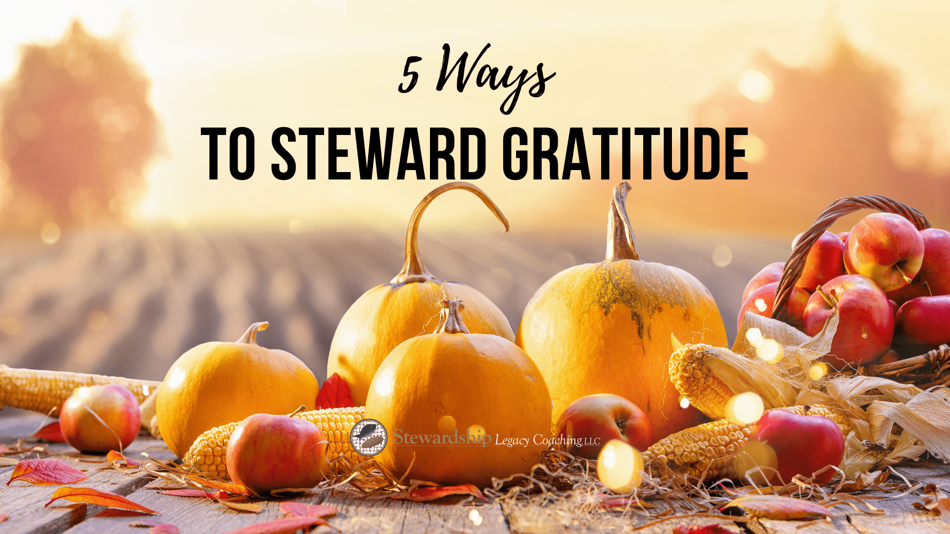 5 Ways to Cultivate Gratitude